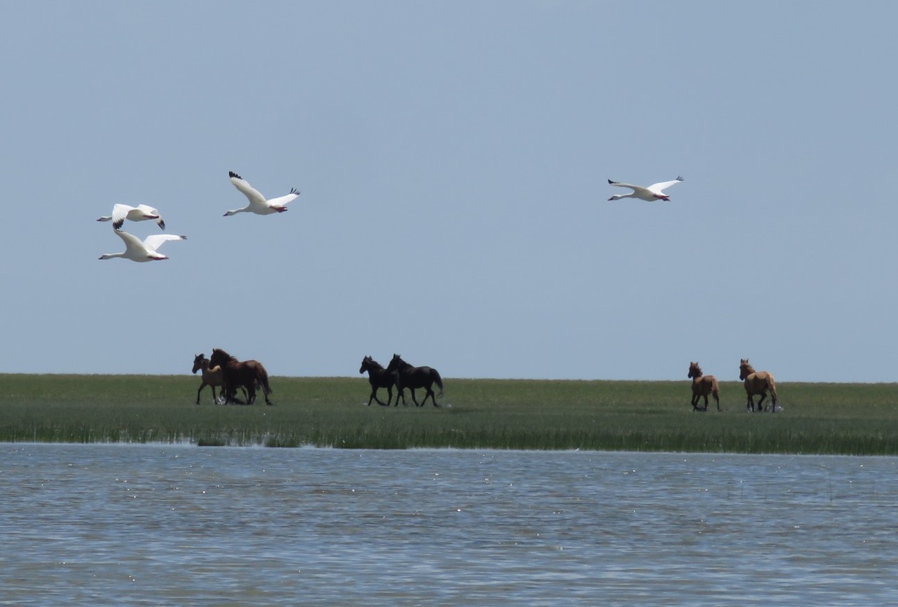 Día Internacional de la Diversidad Biológica 2024