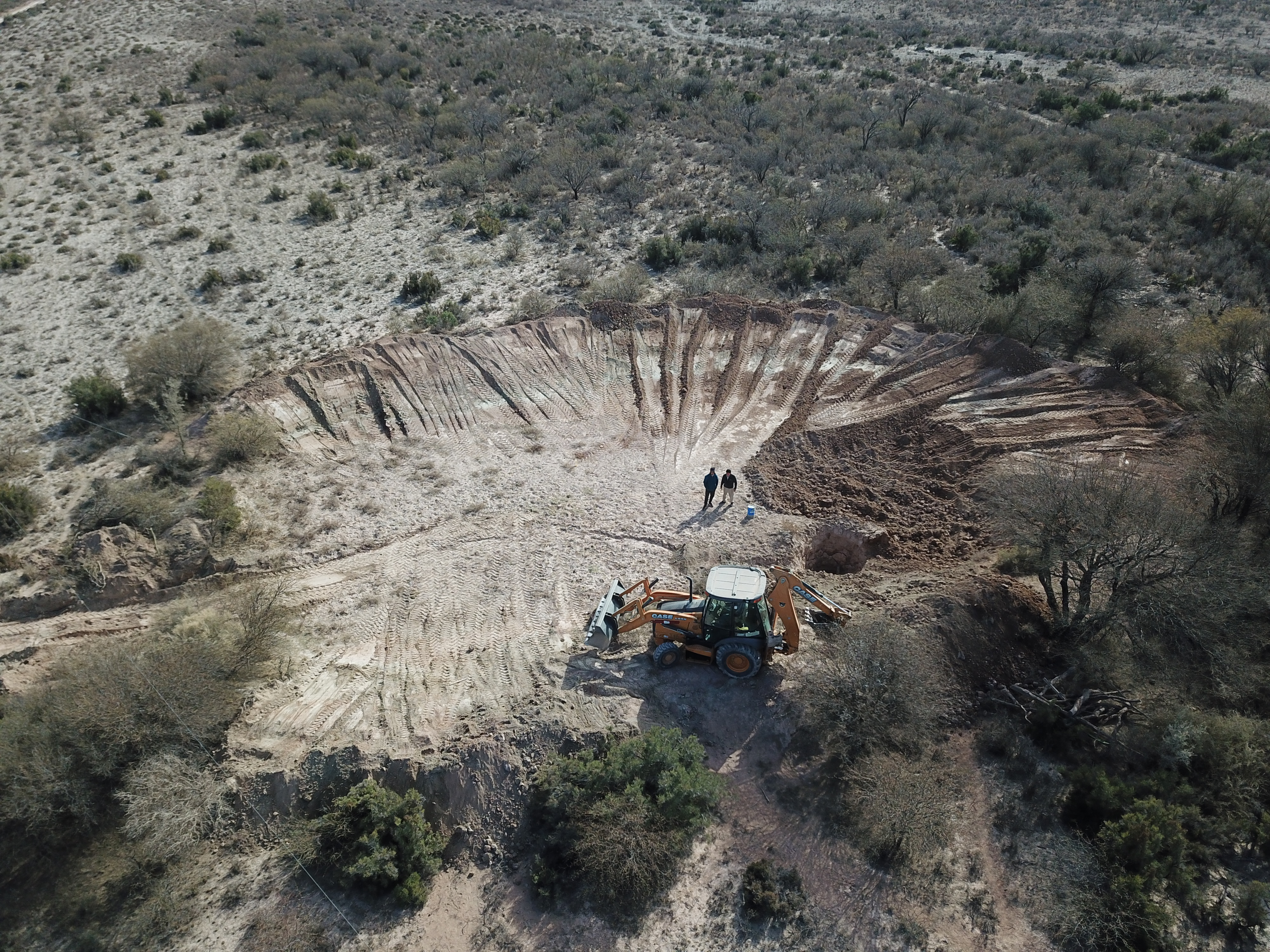 Día Mundial del Ambiente 2024