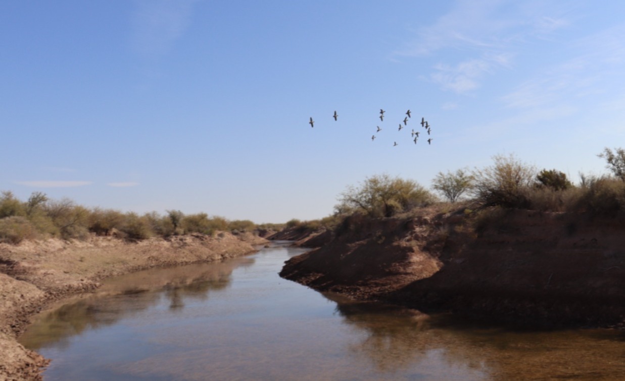 Comienzo del Proyecto de Experiencias Teórico Prácticas en Restauración Ecológica en el Sitio Ramsar Lagunas de Guanacache