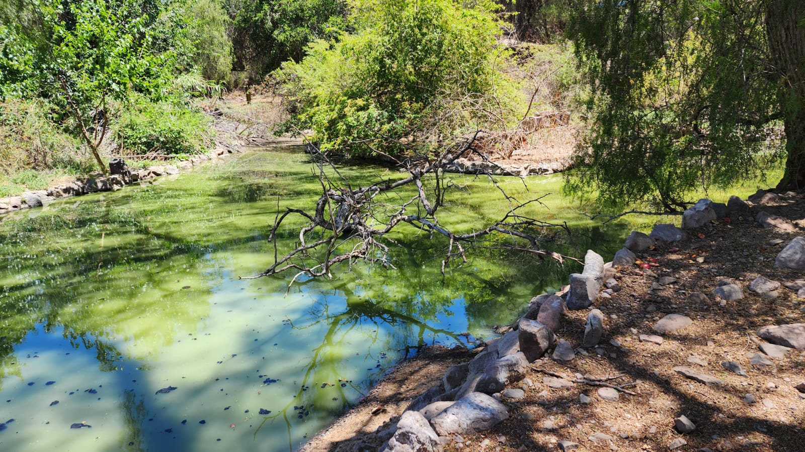 Rehabilitación, Saneamiento y Reacondicionamiento del Habitáculo de los Flamencos del Ecoparque Mendoza (2023 – continúa)