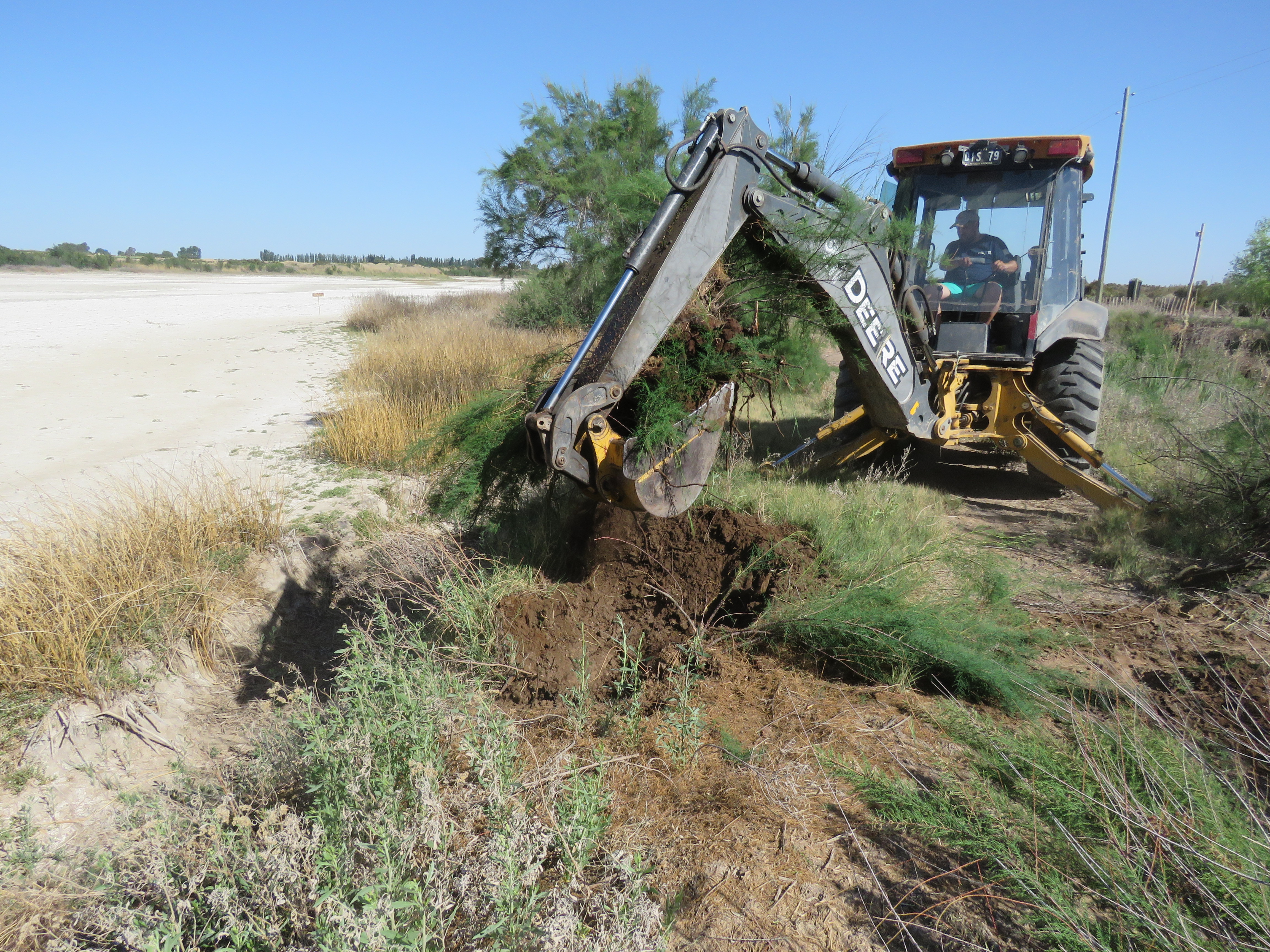Restauración del Humedal Laguna El Viborón — Manejo y Control Tamarindo (Tamarix sp.), Maipú, Mendoza (2021-2022)