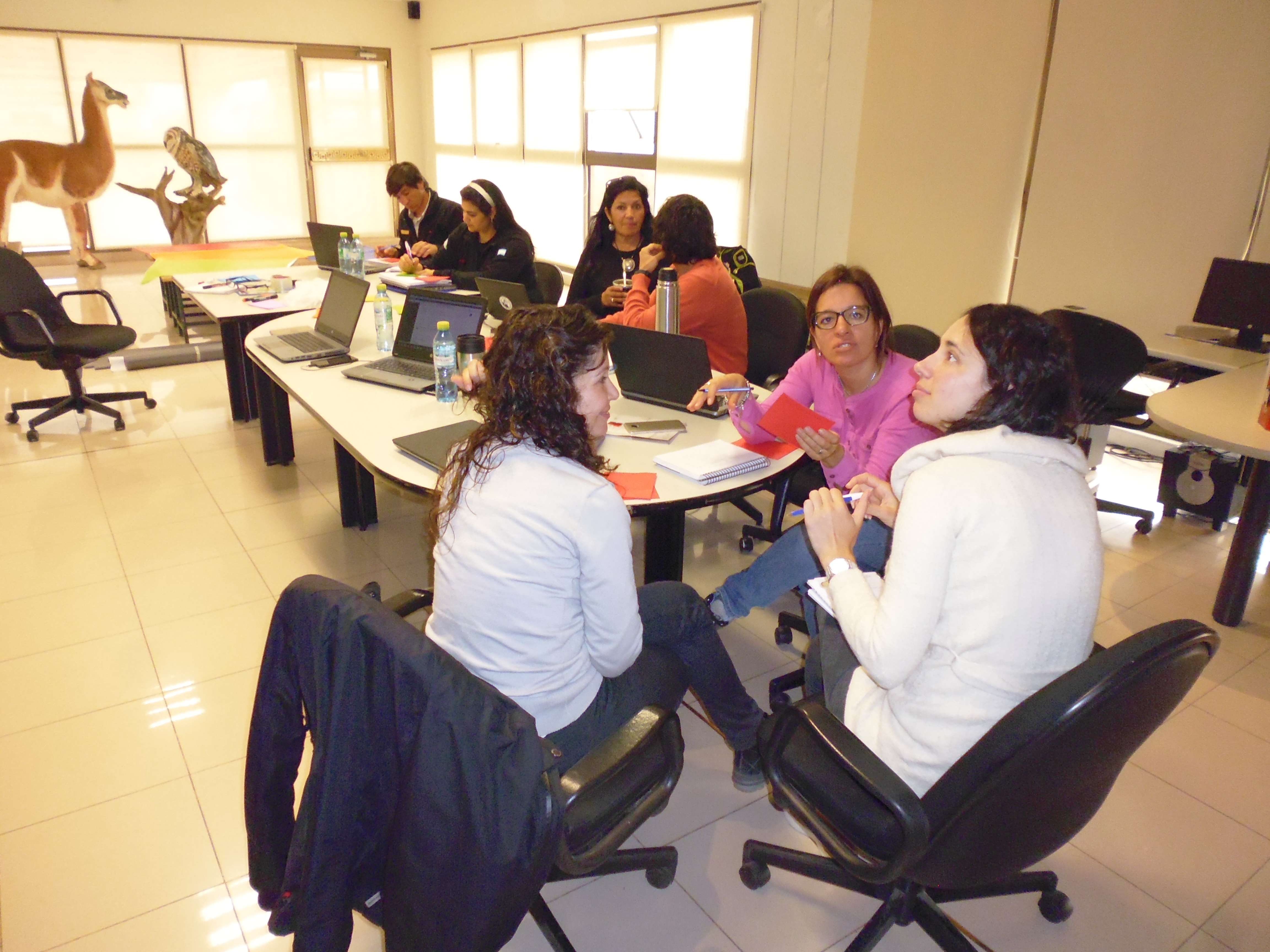 Actualización del Plan de Gestión de la Reserva Privada Villavicencio (RPV), Mendoza (2017-2018)